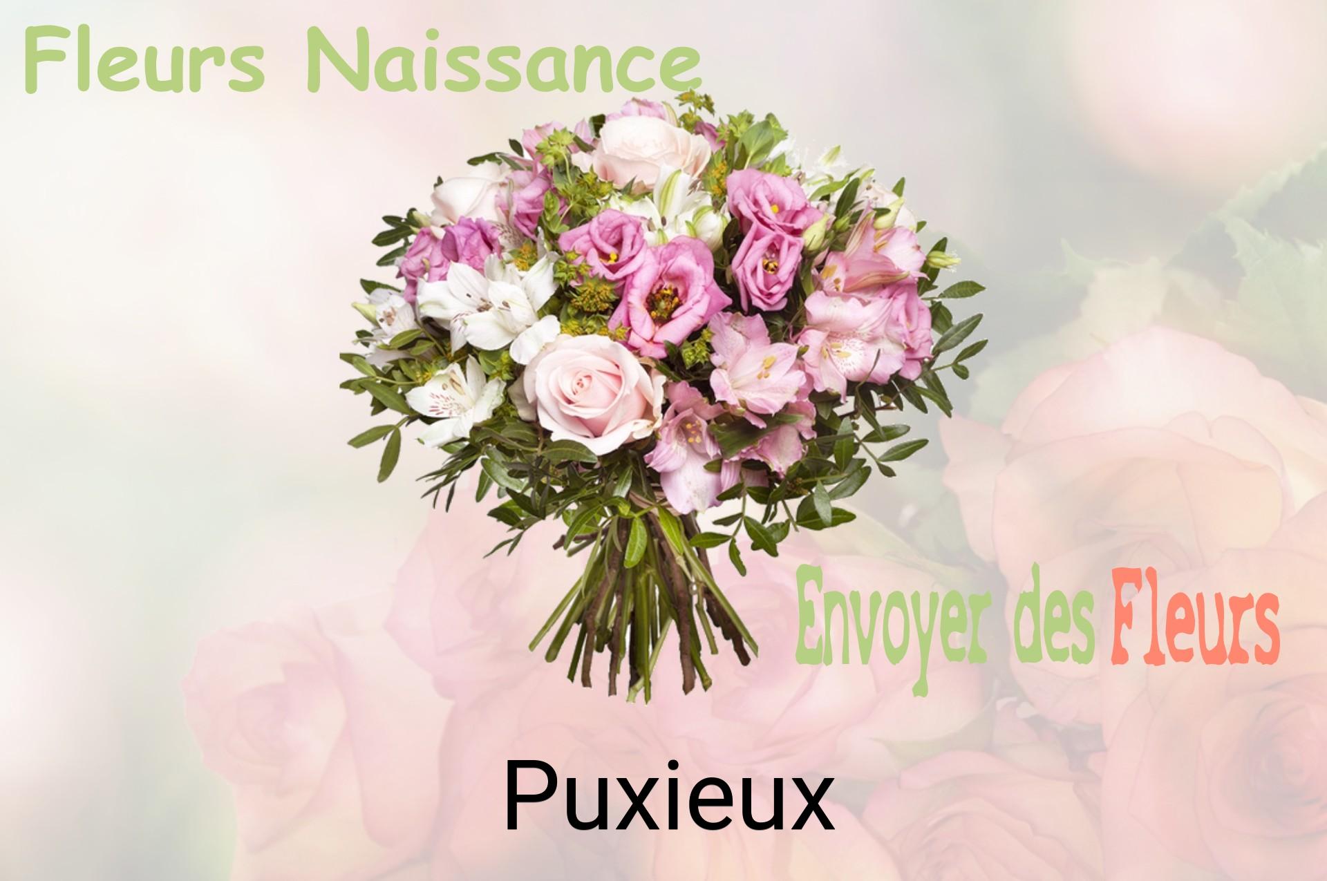 Bouquet de fleurs de naissance livré à Puxieux