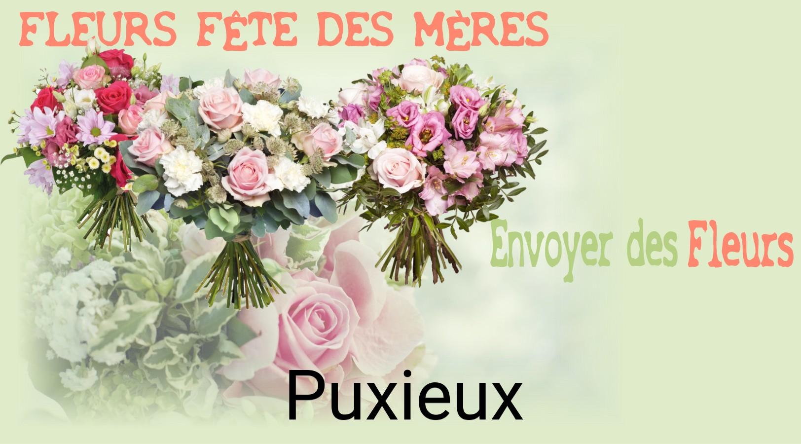 Bouquet de Fête des Mères livré à Puxieux